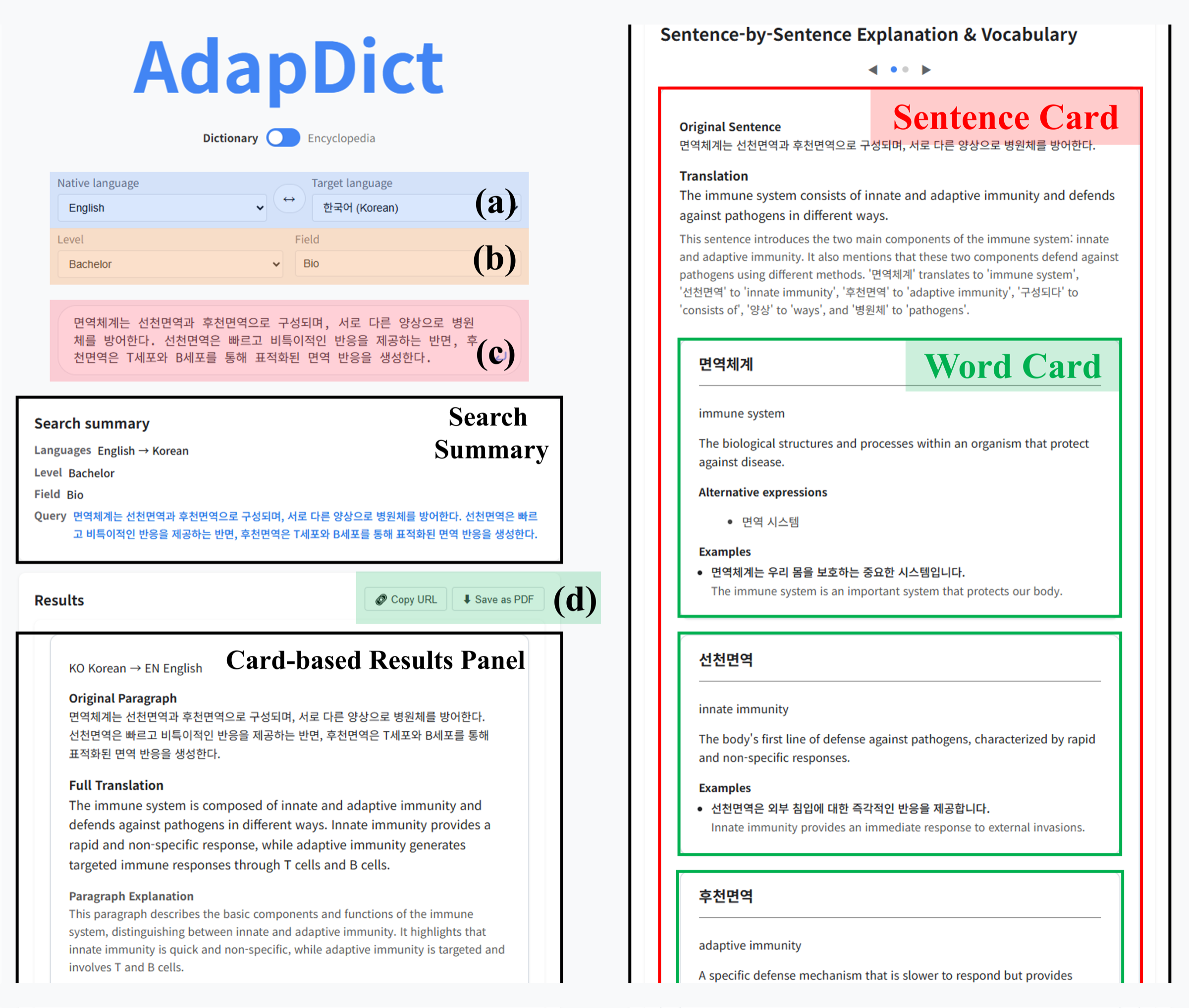 The AdapDict web interface: language, level and field selectors above a query box, a search summary, and a results panel of sentence and word cards.